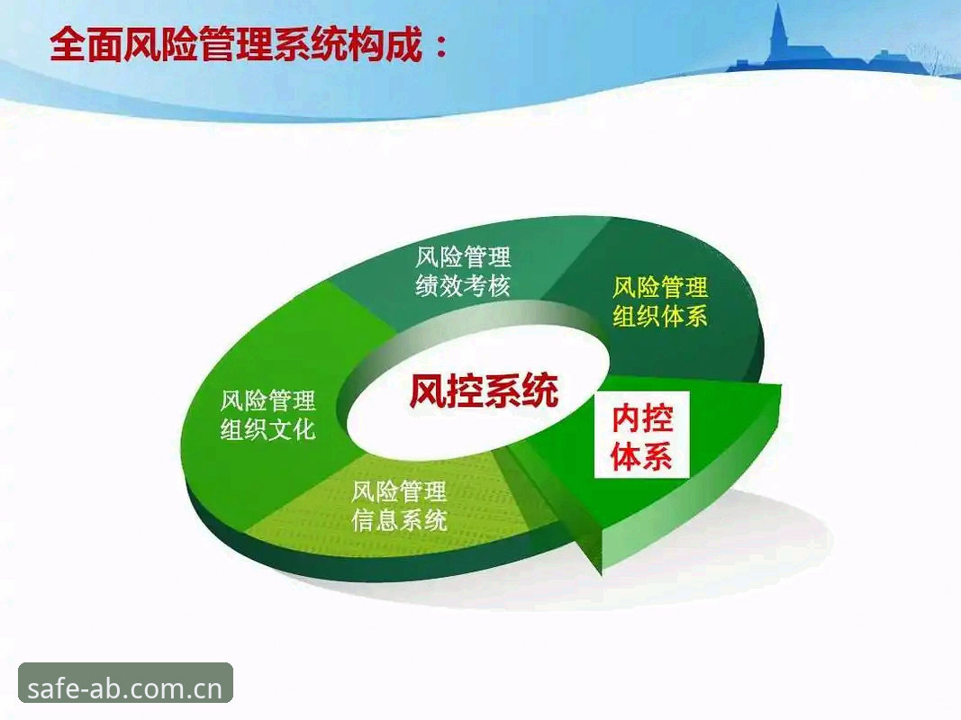 5个确保AB体育风控无忧的关键步骤，新手必看的官方入口指南